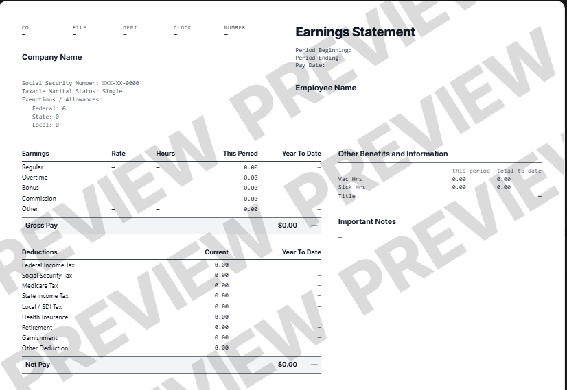 Professional paystub template preview