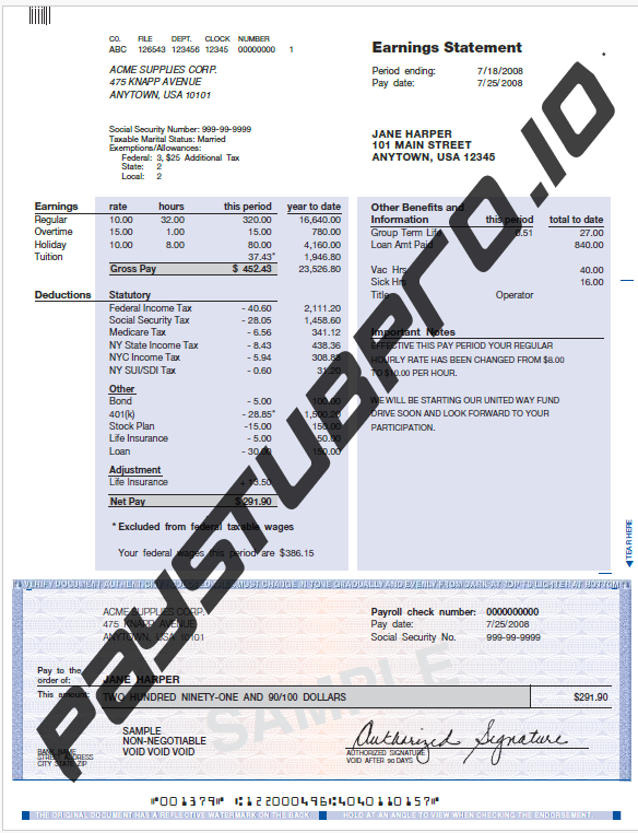 Modern paystub template preview